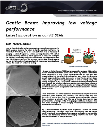 Gentle Beam - Improving Low Voltage with FE SEM